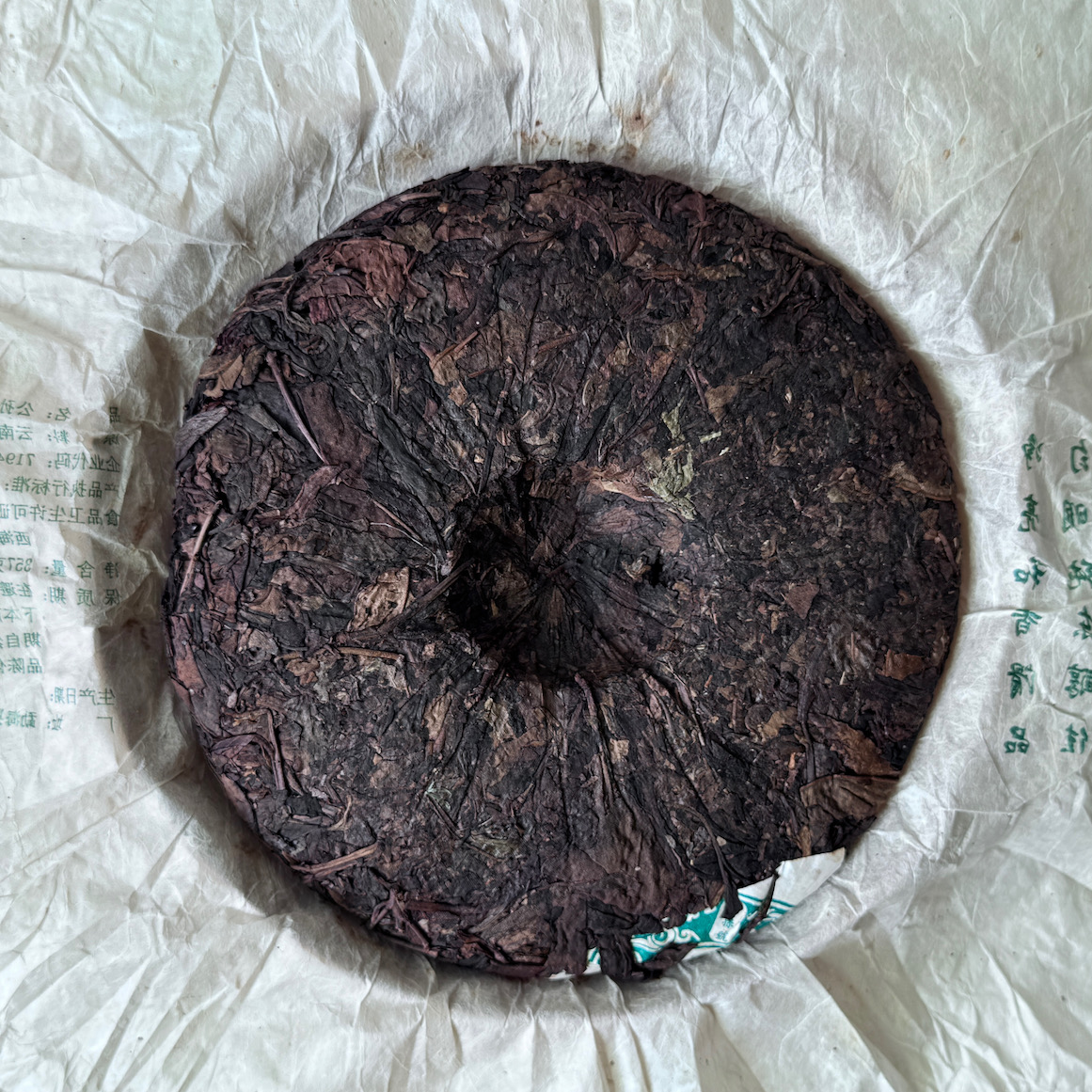 野生喬木大黃片