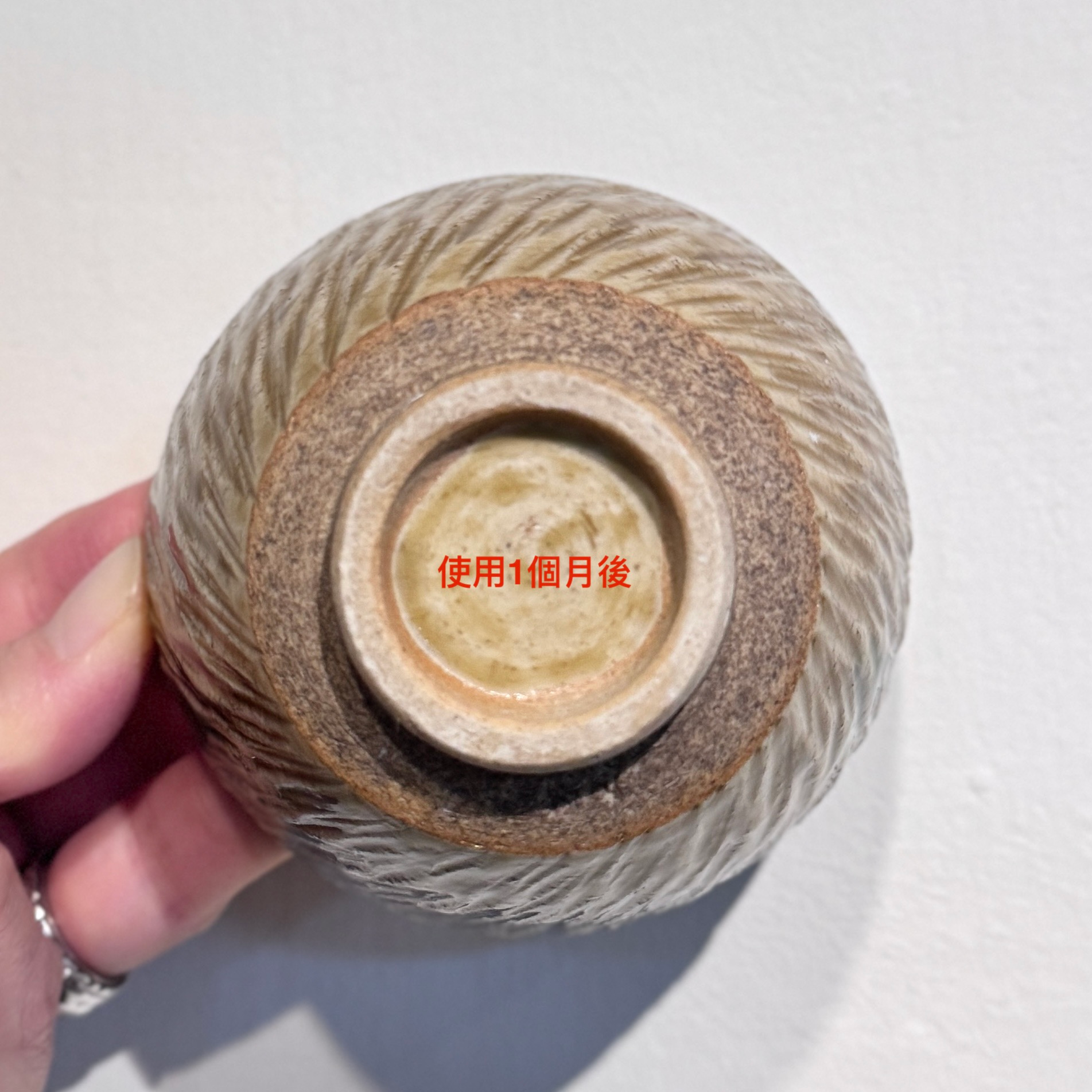 瀨戶燒 黃瀨戶 水杯 大茶杯