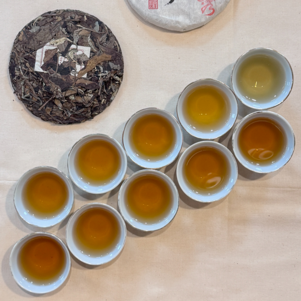 2024年雲南白茶＿曼秀茶區＿50g
