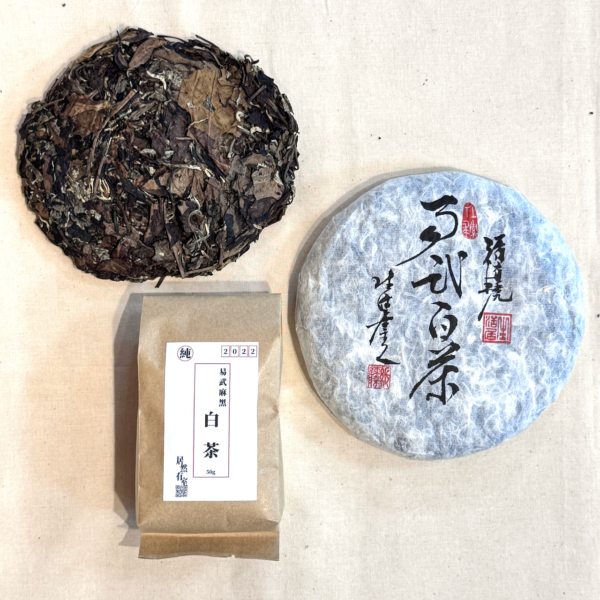 IMG_0995 2022年雲南白茶_麻黑茶區_50g