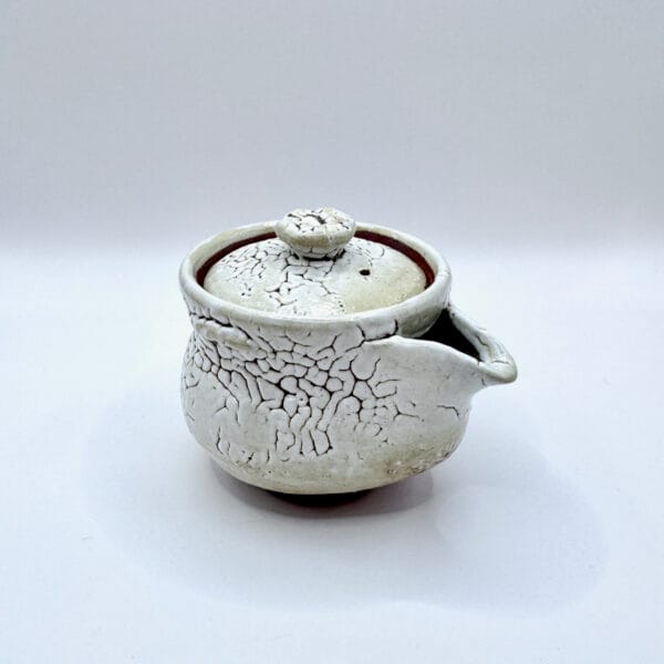 IMG_3517 萩燒_白萩釉 宝瓶 茶壺_椋原佳俊