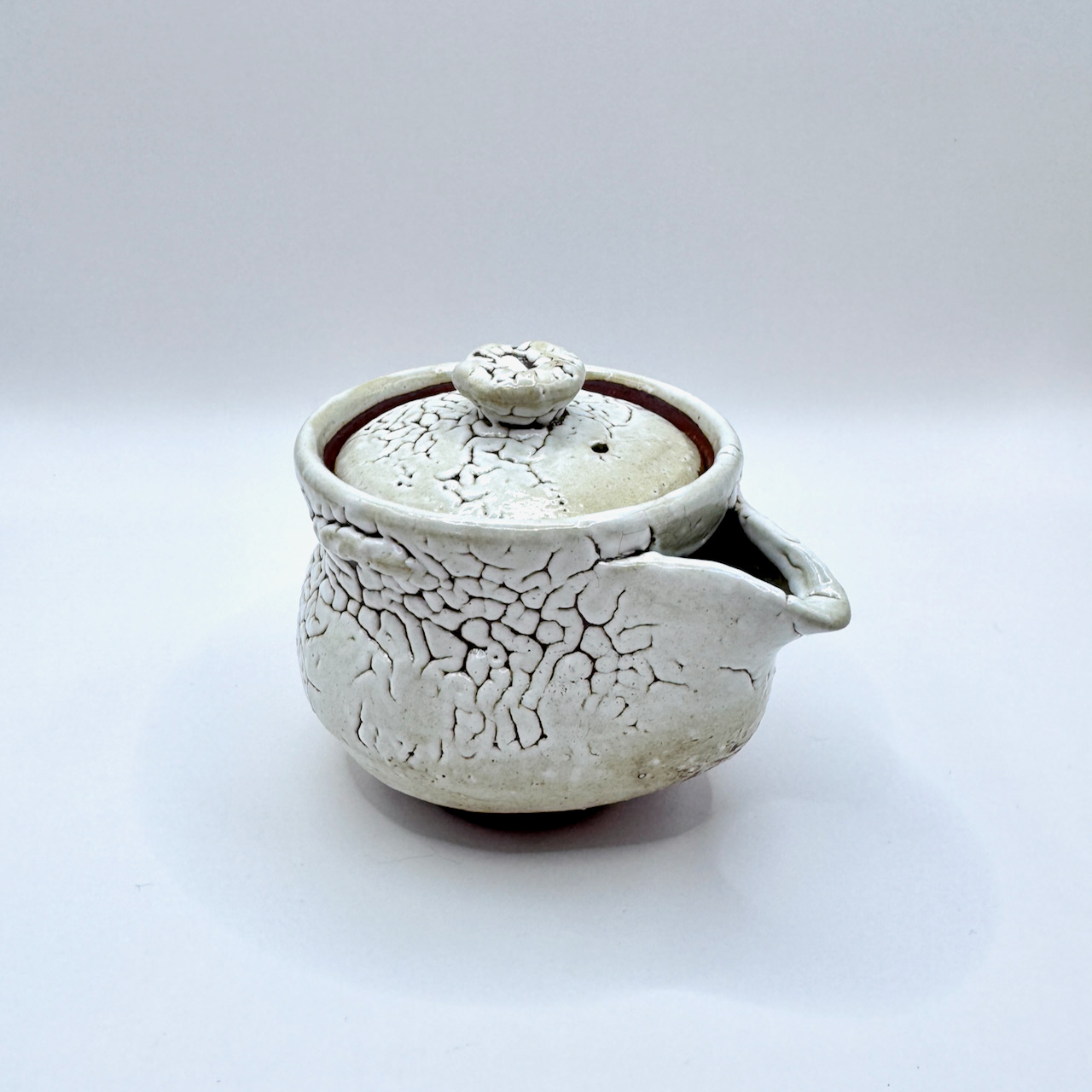 萩燒＿白萩釉 宝瓶 茶壺＿椋原佳俊