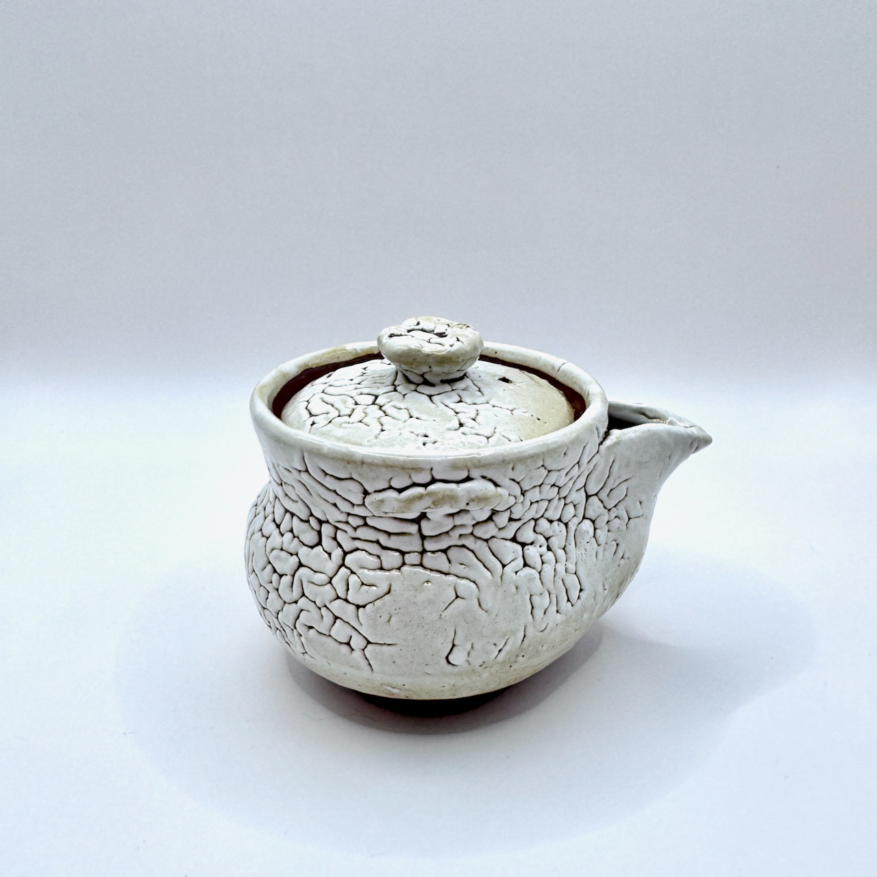 萩燒＿白萩釉 宝瓶 茶壺＿椋原佳俊