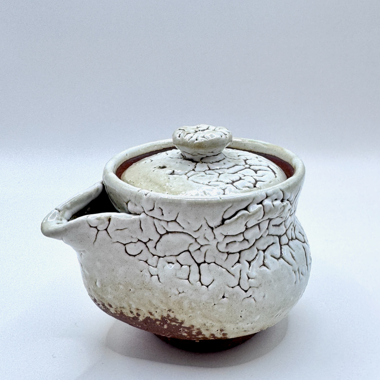 萩燒＿白萩釉 宝瓶 茶壺＿椋原佳俊