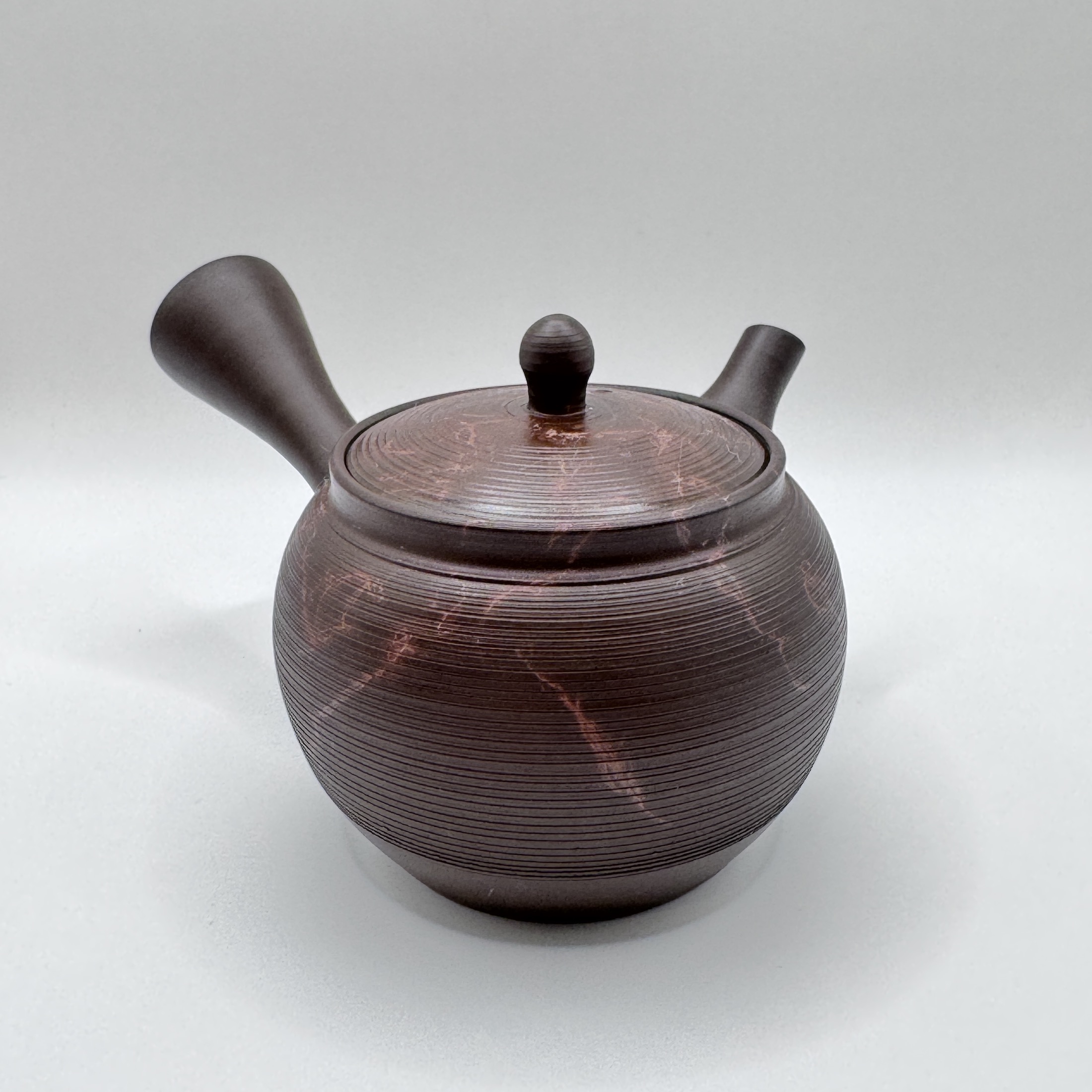 IMG_5828 常滑燒_玉光窯_藻掛朱泥窯變_橫手急須茶壺