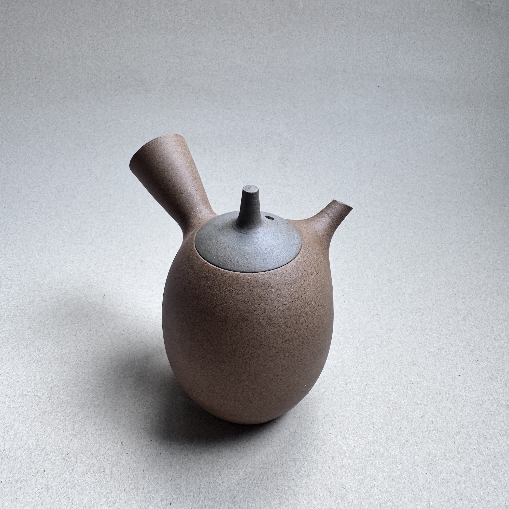 IMG_6289 常滑燒_石水窯_橫手急須_灰蓋